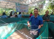 Panen Perdana Ikan Lele, Kelompok Sahabat Lele Bethesda Kota Kupang