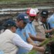 Gerakan Tanam Padi Serentak Sebagai Langkah Kolaboratif Perkuat Swasembada Pangan NTT
