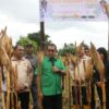 Pemprov Hadiri Panen Jagung Simbolis di UPTD Kesejahteraan Sosial Tuna Netra dan Karya Wanita, Gubernur Melki Dorong Peningkatan Produksi Jagung