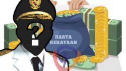 Daftar 10 Bupati Terkaya di NTT Jadi Sorotan Publik