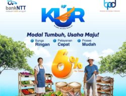 Bank NTT Dorong UMKM Naik Kelas Lewat KUR Bunga 6 Persen: Kesempatan Emas bagi Pelaku Usaha