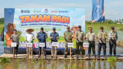 Pupuk Kaltim Gelar Tanam Padi Perdana Program Agrosolution di Kubu Raya, Siap Dongkrak Produktivitas dan Kesejahteraan Petani