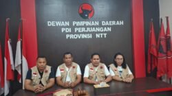 PDI Perjuangan NTT Gerakkan Kader, Bangun Dapur Umum di Tiga Daerah Terdampak Gempa Flores