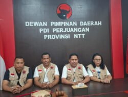 PDI Perjuangan NTT Gerakkan Kader, Bangun Dapur Umum di Tiga Daerah Terdampak Gempa Flores